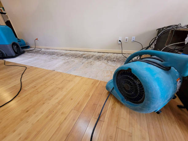Professional Sewage Cleanup technician working in Wellington, CO